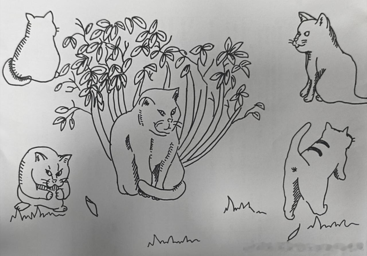 49345【丑猫】再次求馆藏丑猫卢浮宫