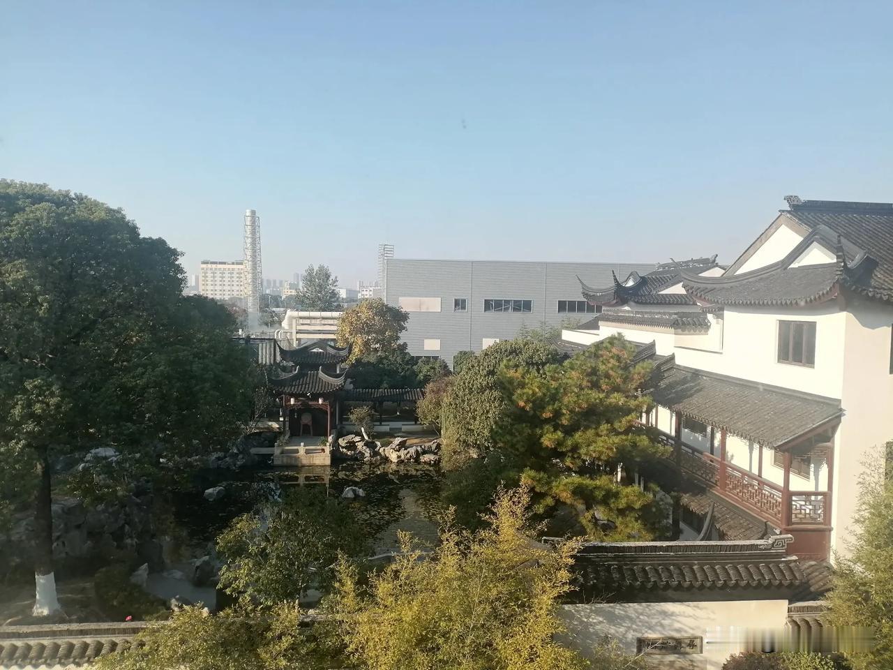 江苏的冬天还是一片秋色。