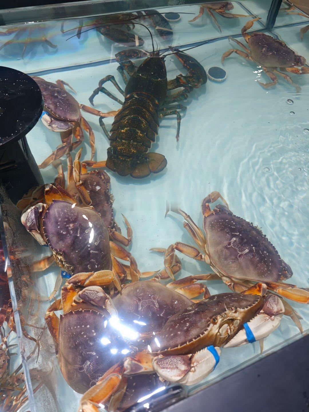 大大大大大龙虾🦞🦞大大大大大螃蟹🦀🦀太久没有逛超市了[开学季]真高级啊，