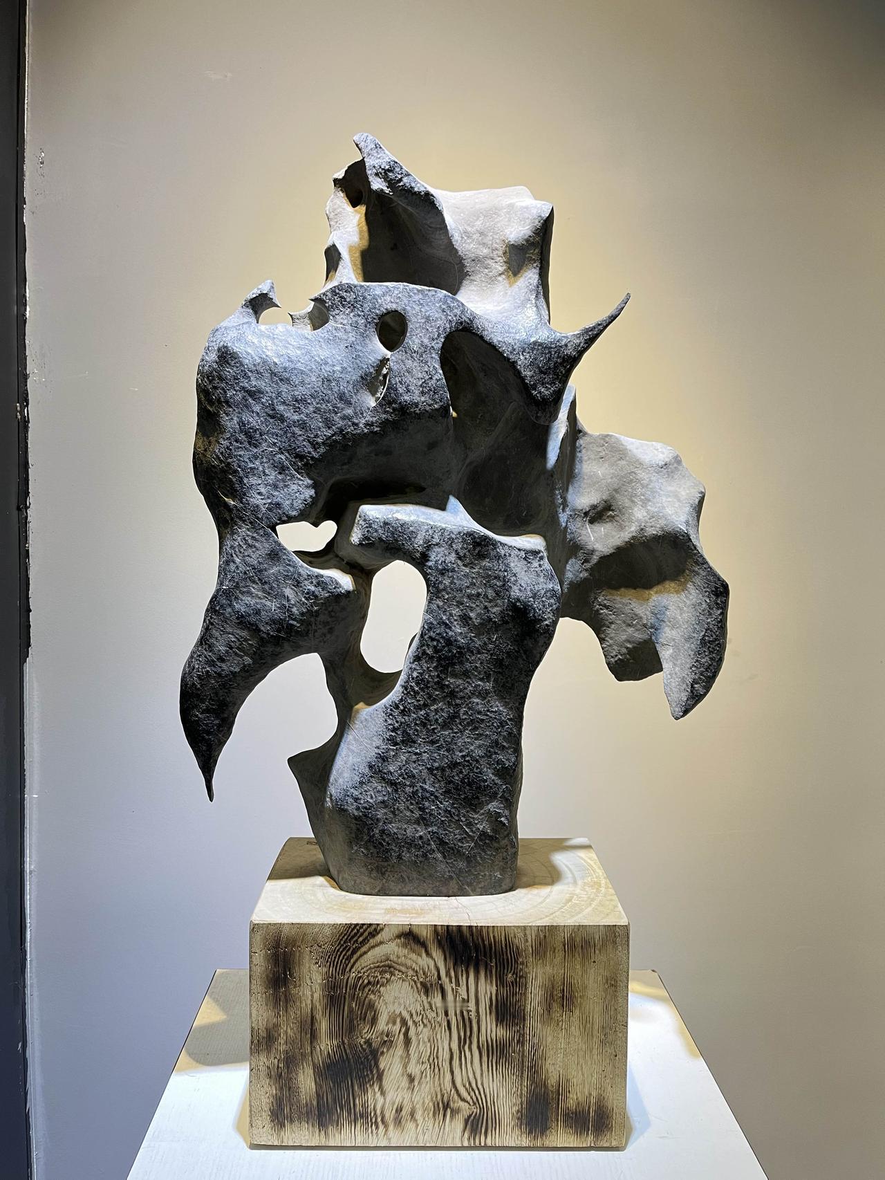 龙首凤姿凝太古，
石破天惊自不凡。

～龙凤呈祥～