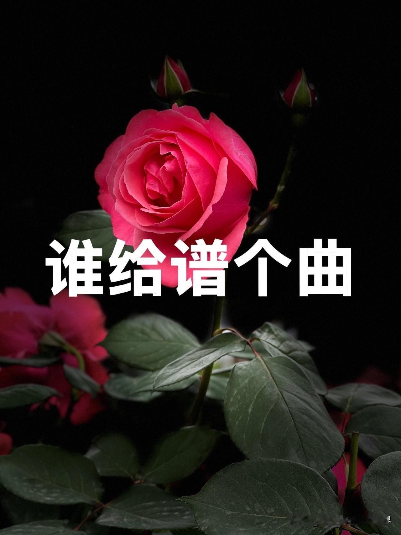《安徐正静》

【主歌一】
安详像清晨的湖面
从容如云飘过山巅
公正是一把不偏的