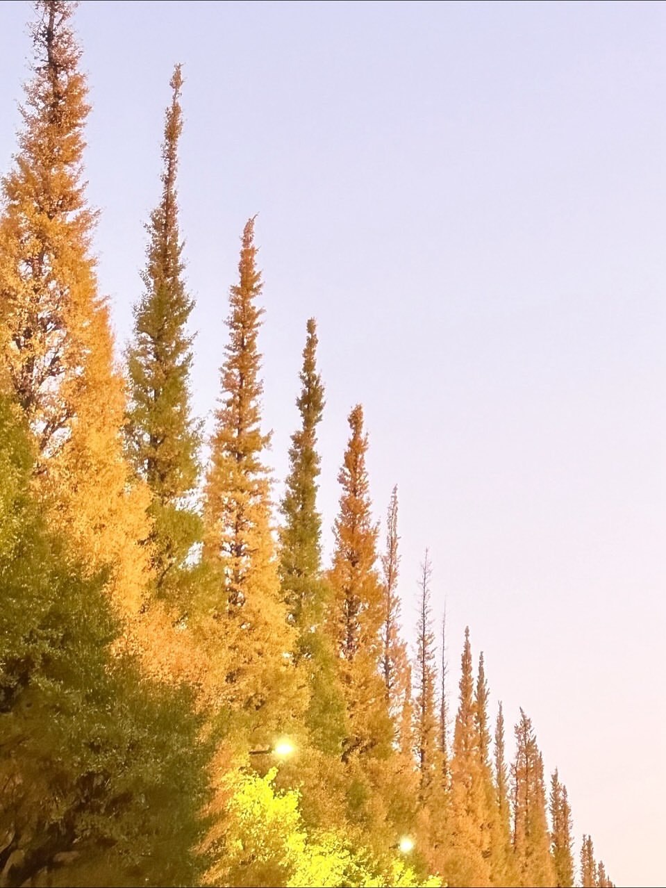 「しあわせあれこれ」 