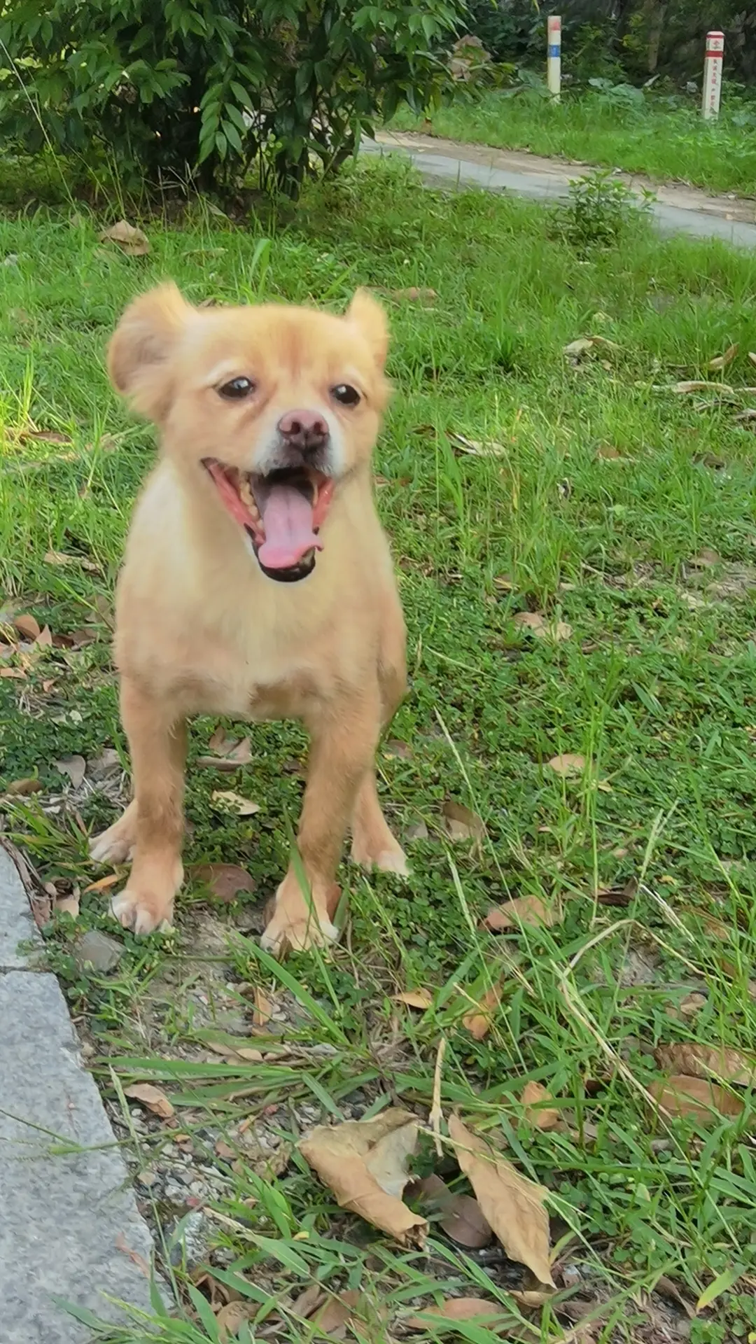 余生只生喜乐，不生忧愁❤️ 放空自己…～～