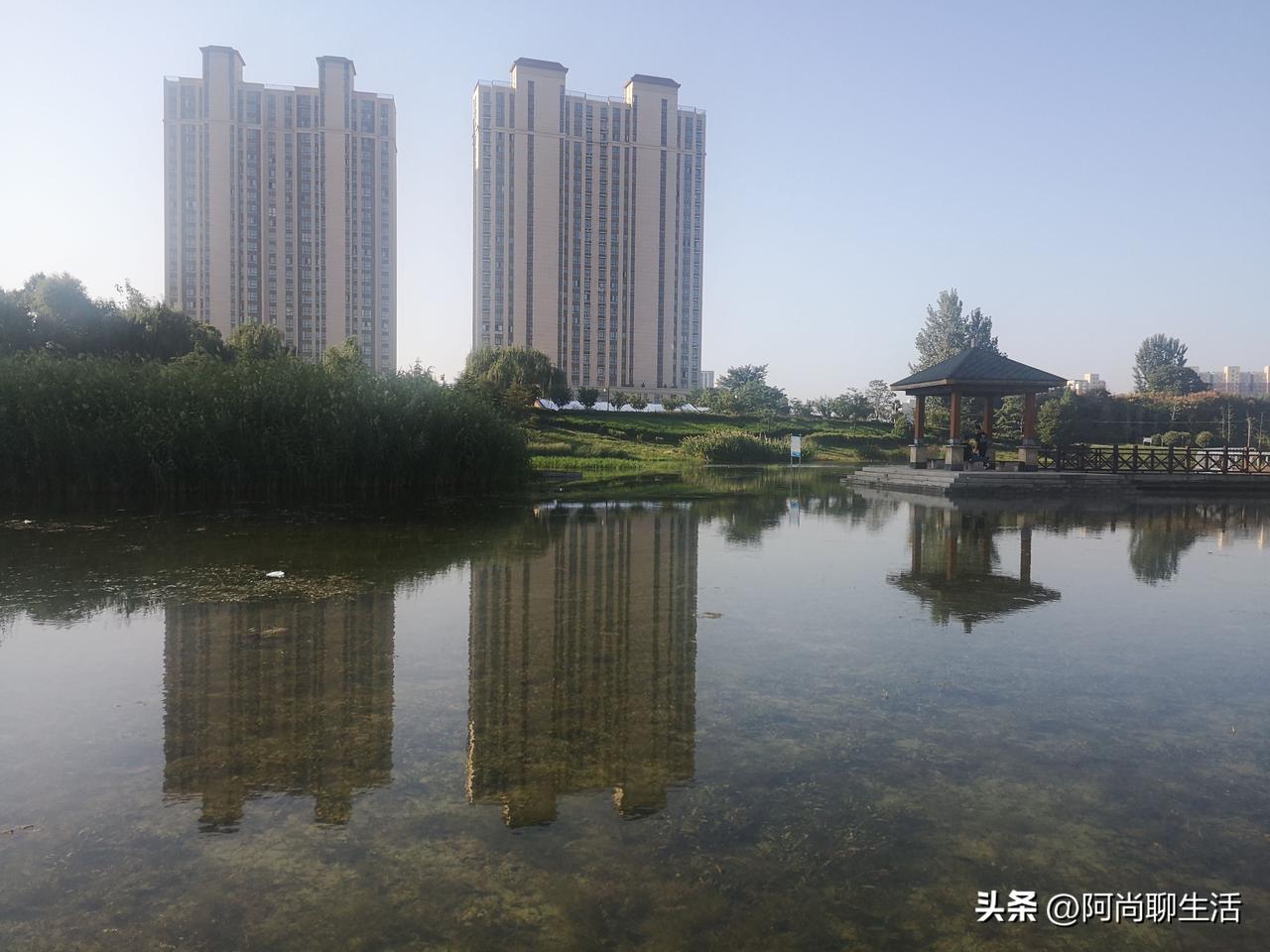 我见过最狠的一个人，是我们公司新来的四十多岁保洁阿姨。被部门主管指着鼻子骂了十分