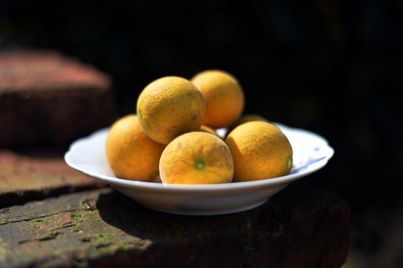 半生风雨，半世幻梦，人生究竟所为何事？历经半生奔波，方才领悟生活真谛。往昔，为了