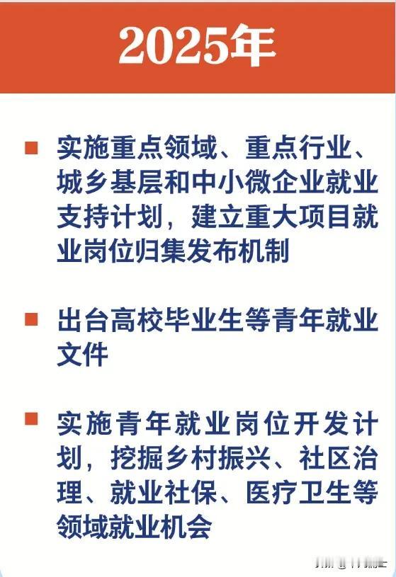 你认为这些措施能改善2025年的就业形势吗！RS部具体措施：实施重点企业、重点领