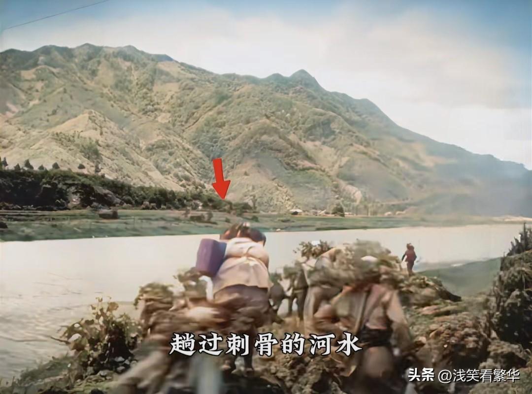 前几天收拾书房，犄角旮旯的旧纸箱里扒出张照片，黄得都快发脆了，拿在手里都怕蹭掉渣