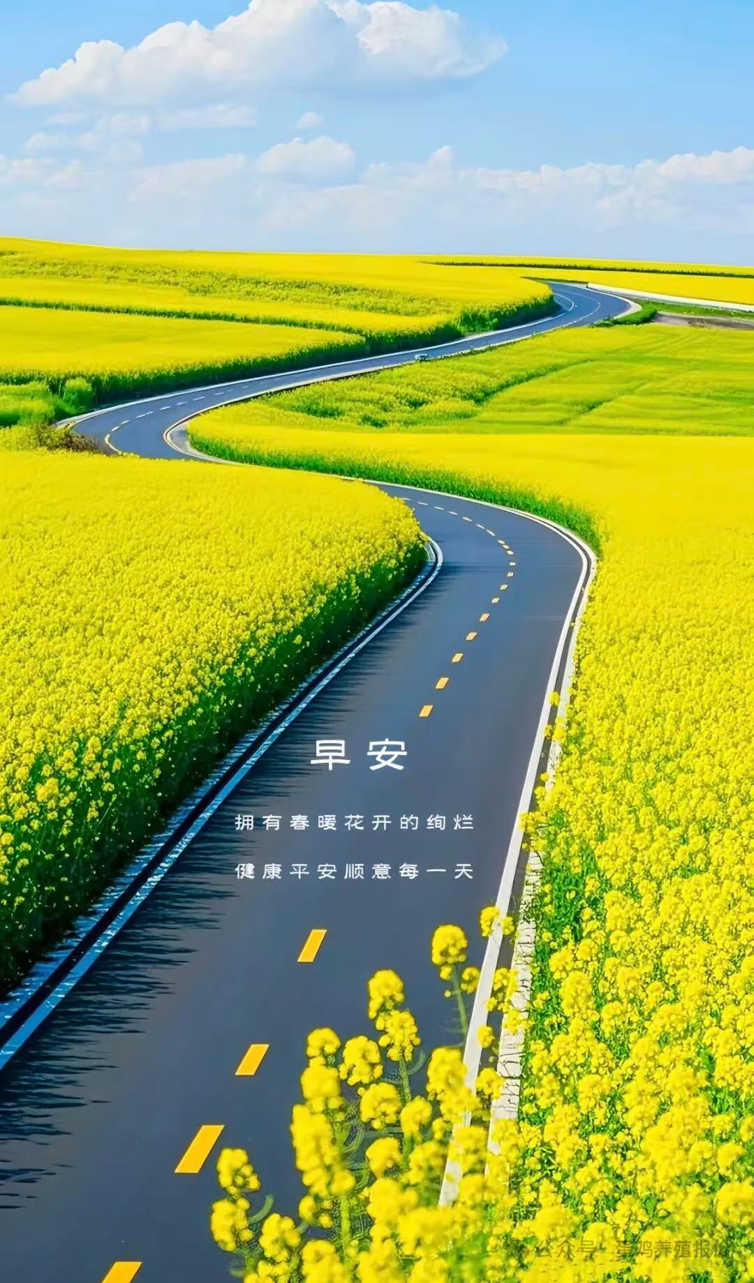 看人之短，天下无一人可交；
看人之长，世界一切尽是吾师。
每一个人都是一个单独的