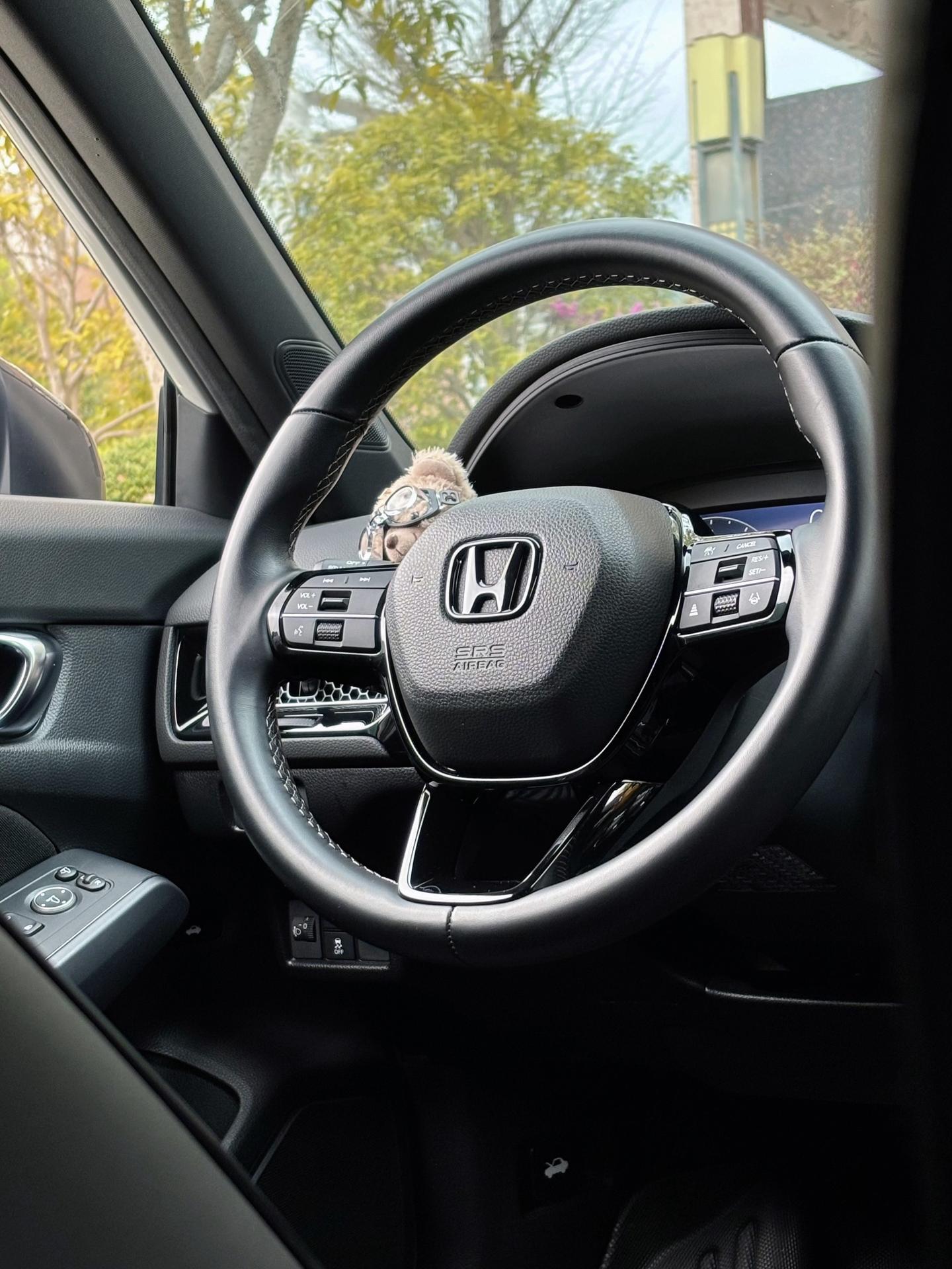 已经买了思域的车主，给即将入手的的兄弟们一些建议和忠告吧，每条评论都会看