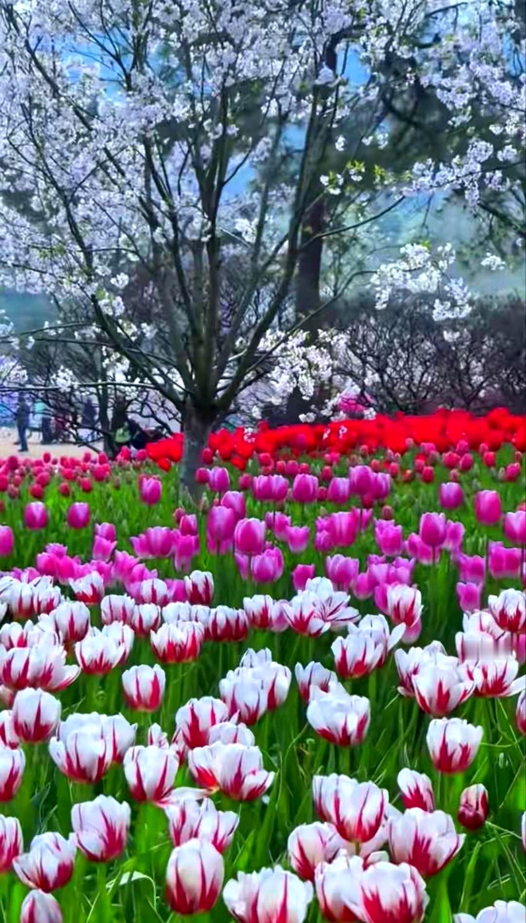 退休后怎么活才舒坦？
说白了就是别瞎折腾，留间房给自己当退路。
十二个要点给您捋