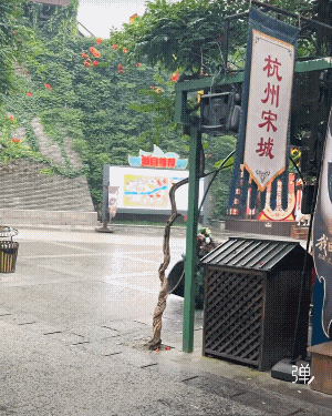 说实话，路边摆假花我还能忍，可是你告诉我假花是自己，来上班的，我真是忍不了啦！[