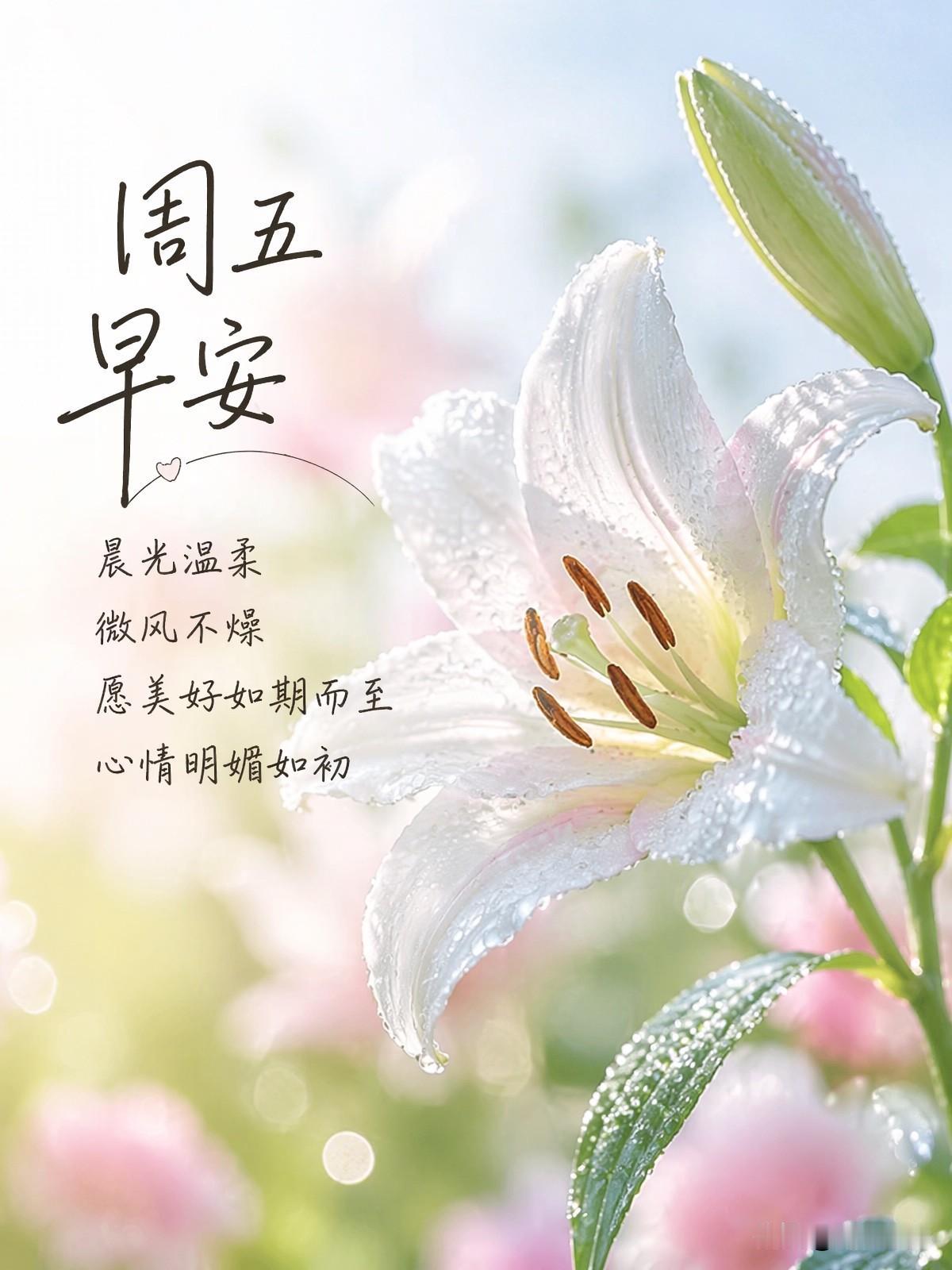 🌼²º²⁶/₀₇.₀₃*ᵕ̈*周五｜早安☀️🍃🐎
🍃𝐆𝐨𝐨𝐝 ?