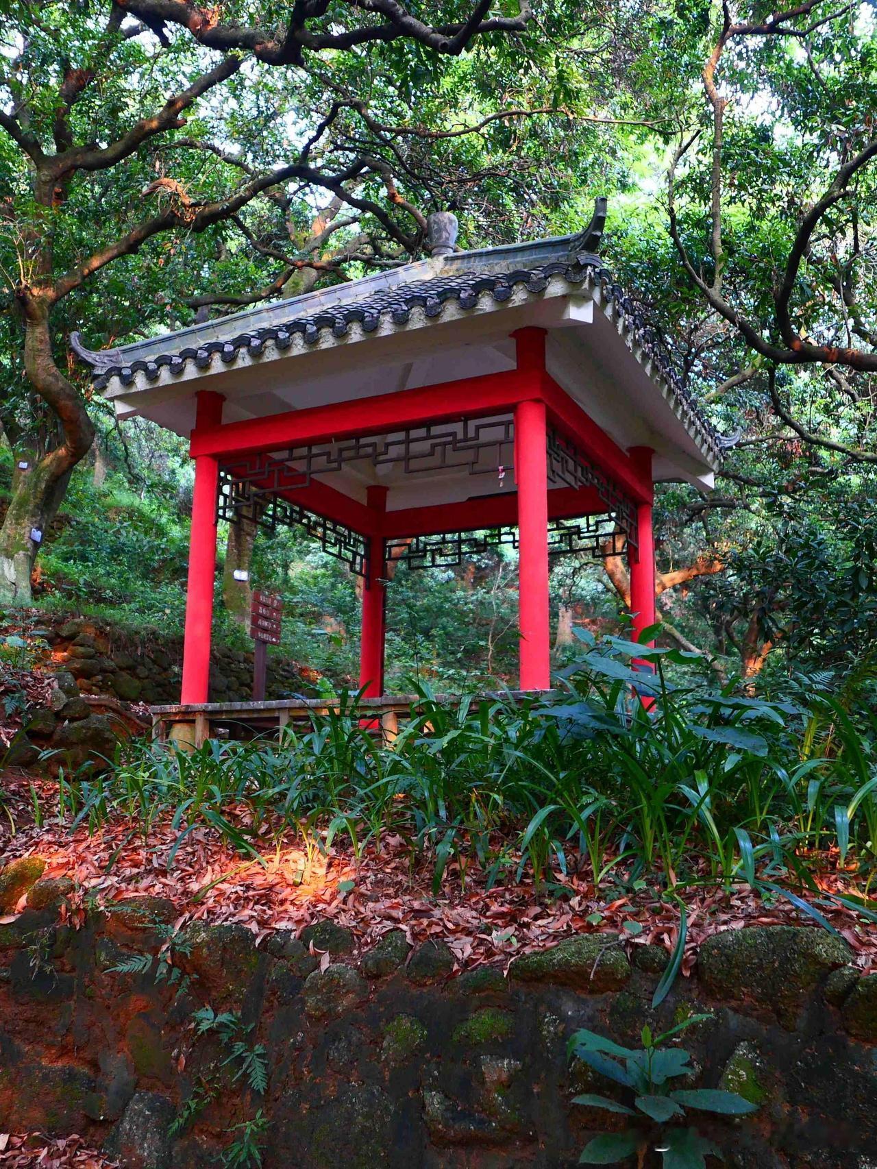 贤江公园｜都市里的天然氧吧秘境

🌿在快节奏的城市里，发现了一处能让人放空的天