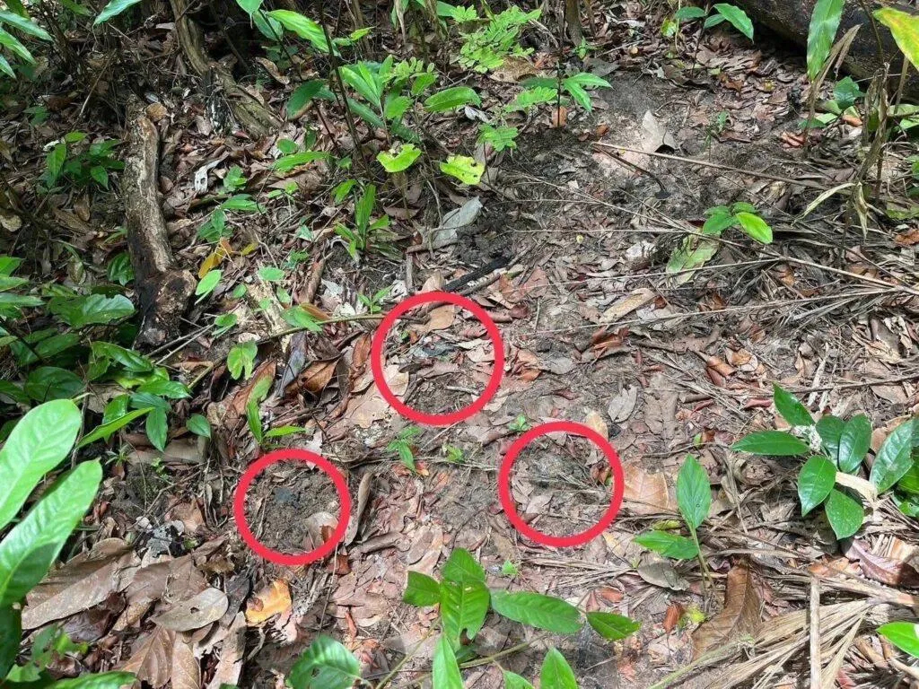 泰国驱逐柬埔寨大使泰国代理总理普坦发表声明，将降低与柬埔寨的外交关系等级，召回泰