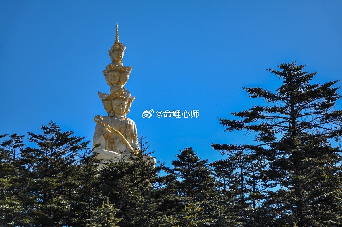 转赞祈福，疾病消除，平安如意，幸福绵绵！#菩萨保佑我##转运# ​​​