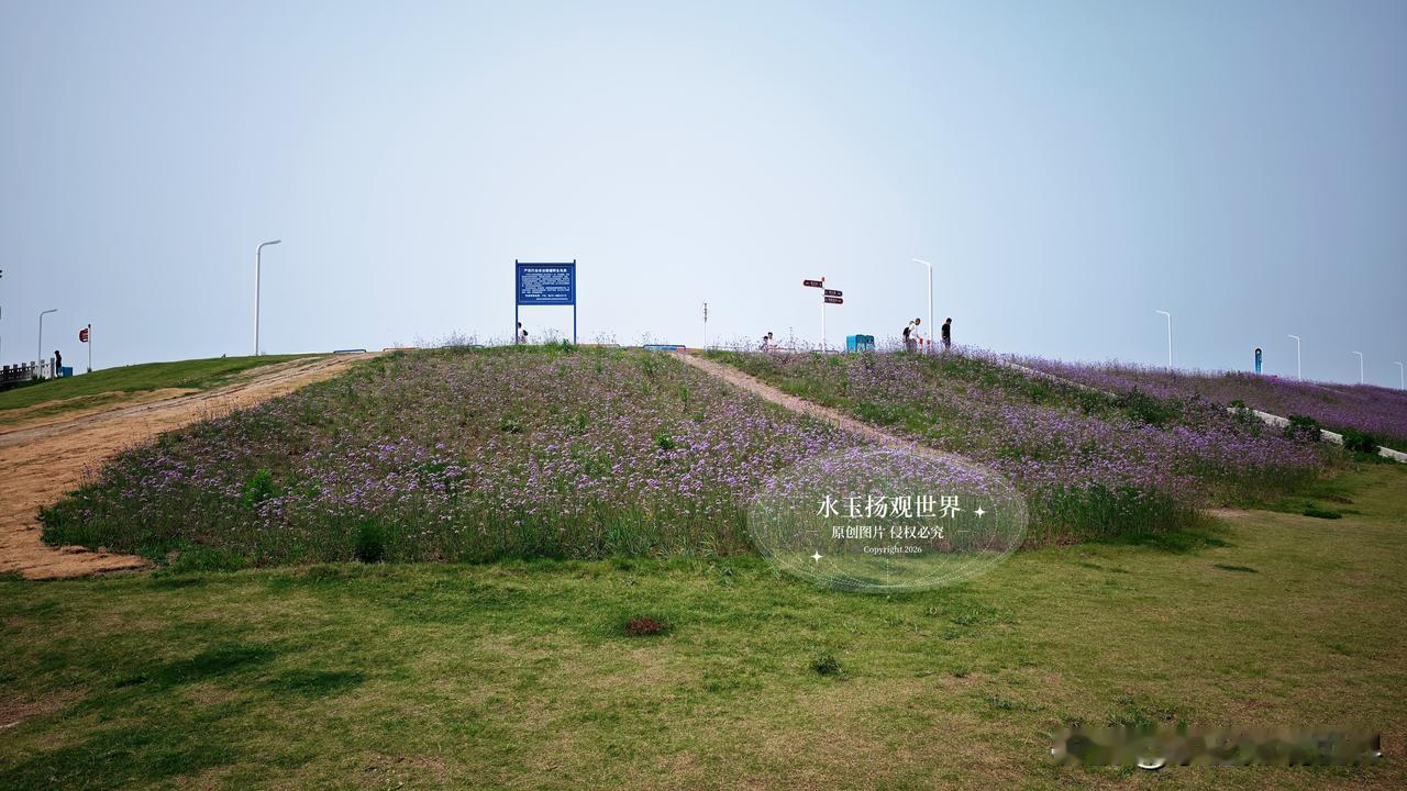 驱车往通州湾滨海大道尽头走，风里的咸湿气越来越重，视野尽头忽然跳出一抹红白，是通