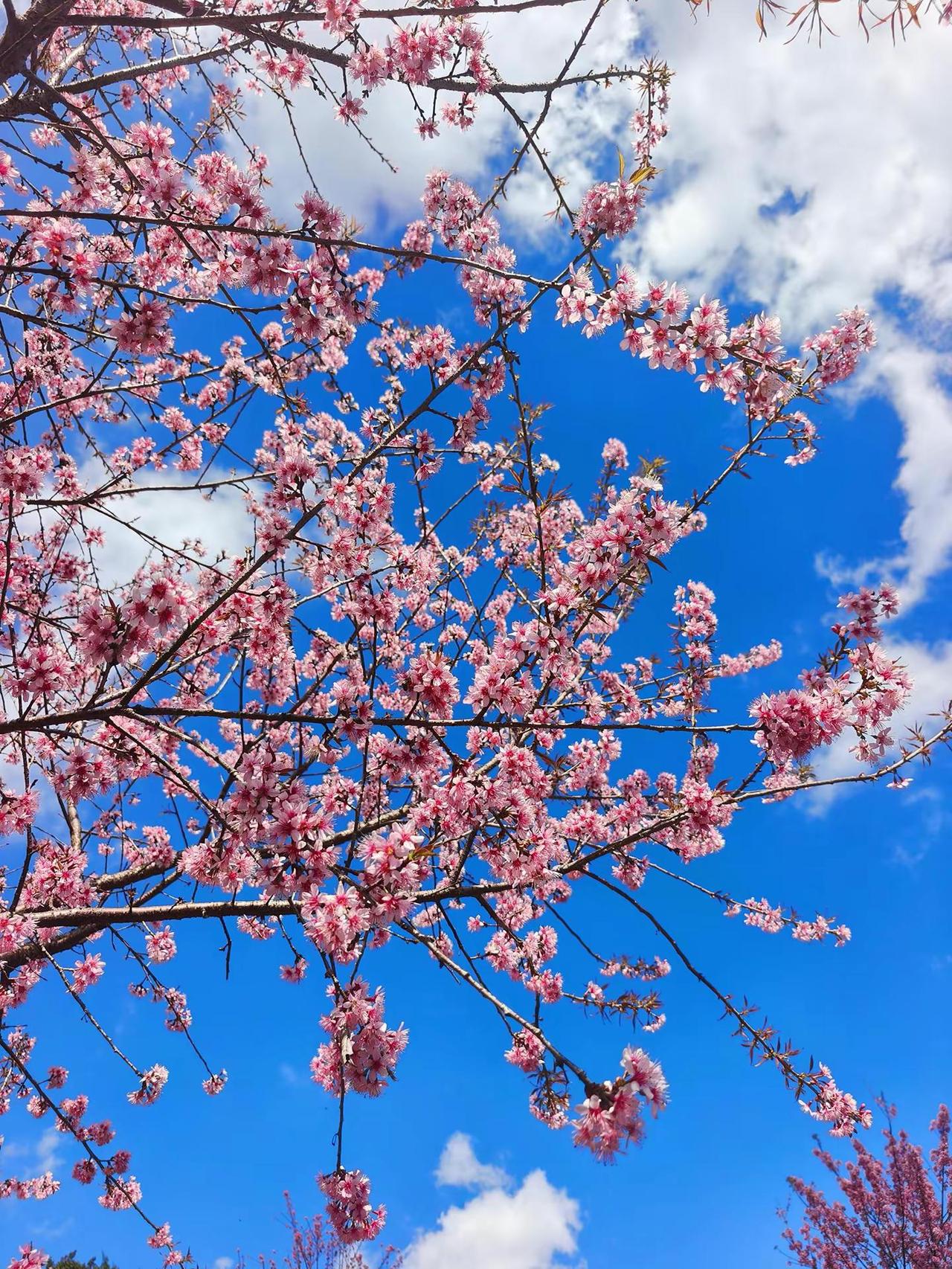 风华正茂的年纪当然要落落大方