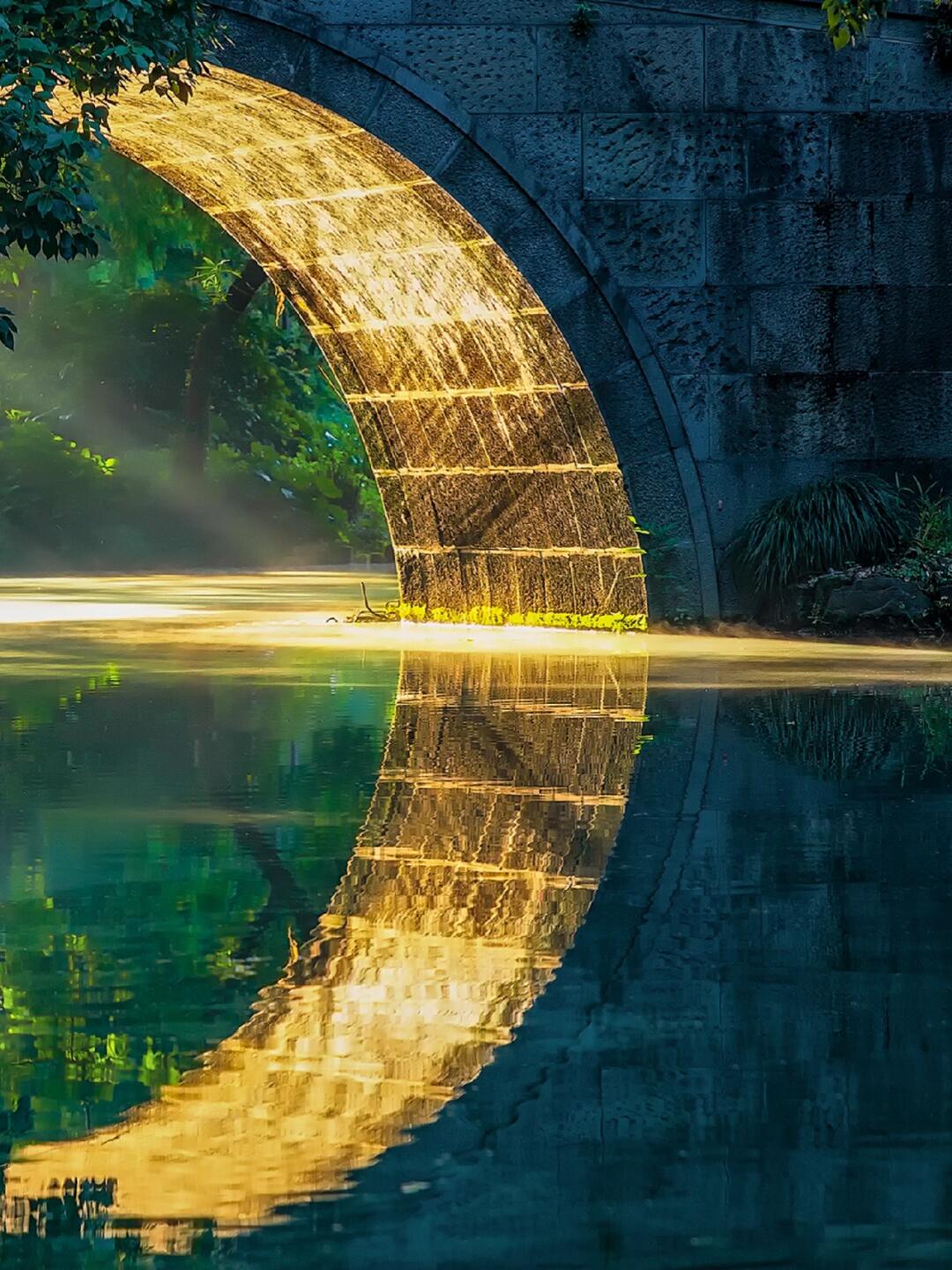 春天的杭州是你梦想中的真江南么