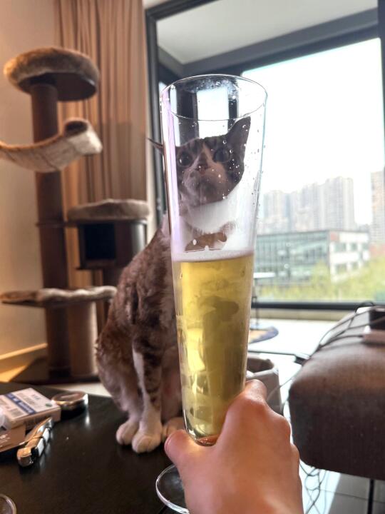 氛围感喝酒拍照