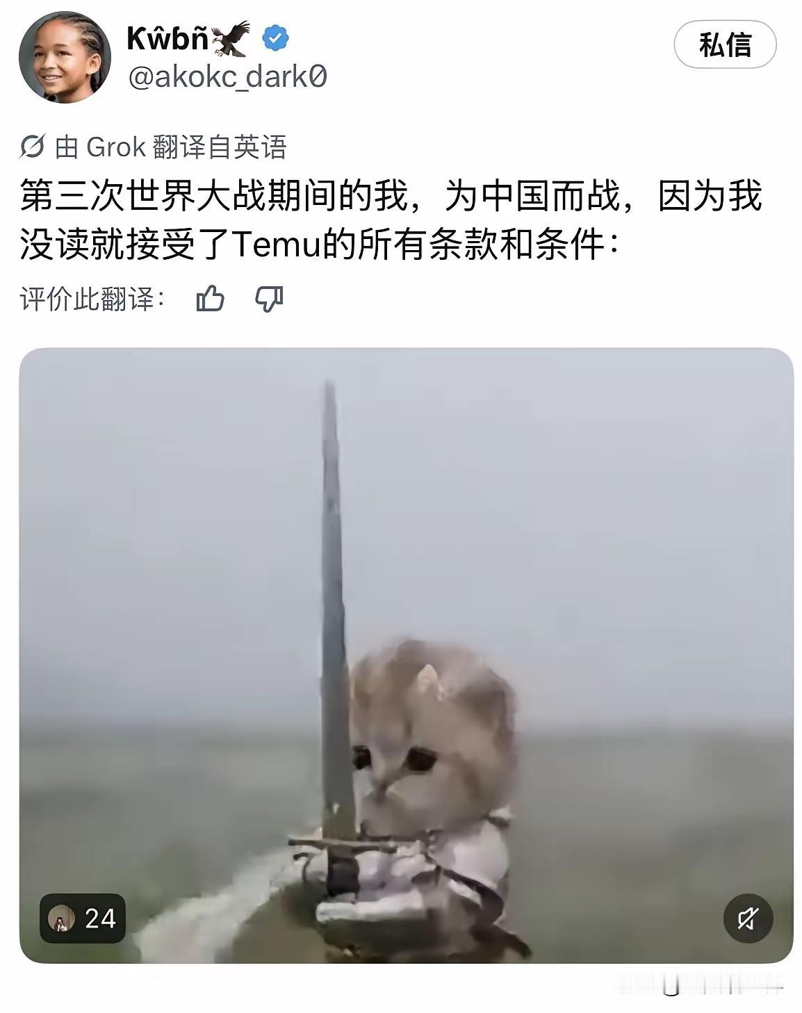 如果发生三战，你会为谁而战？
很多国外网友表示他们签了拼夕夕海外版条款，是效忠我