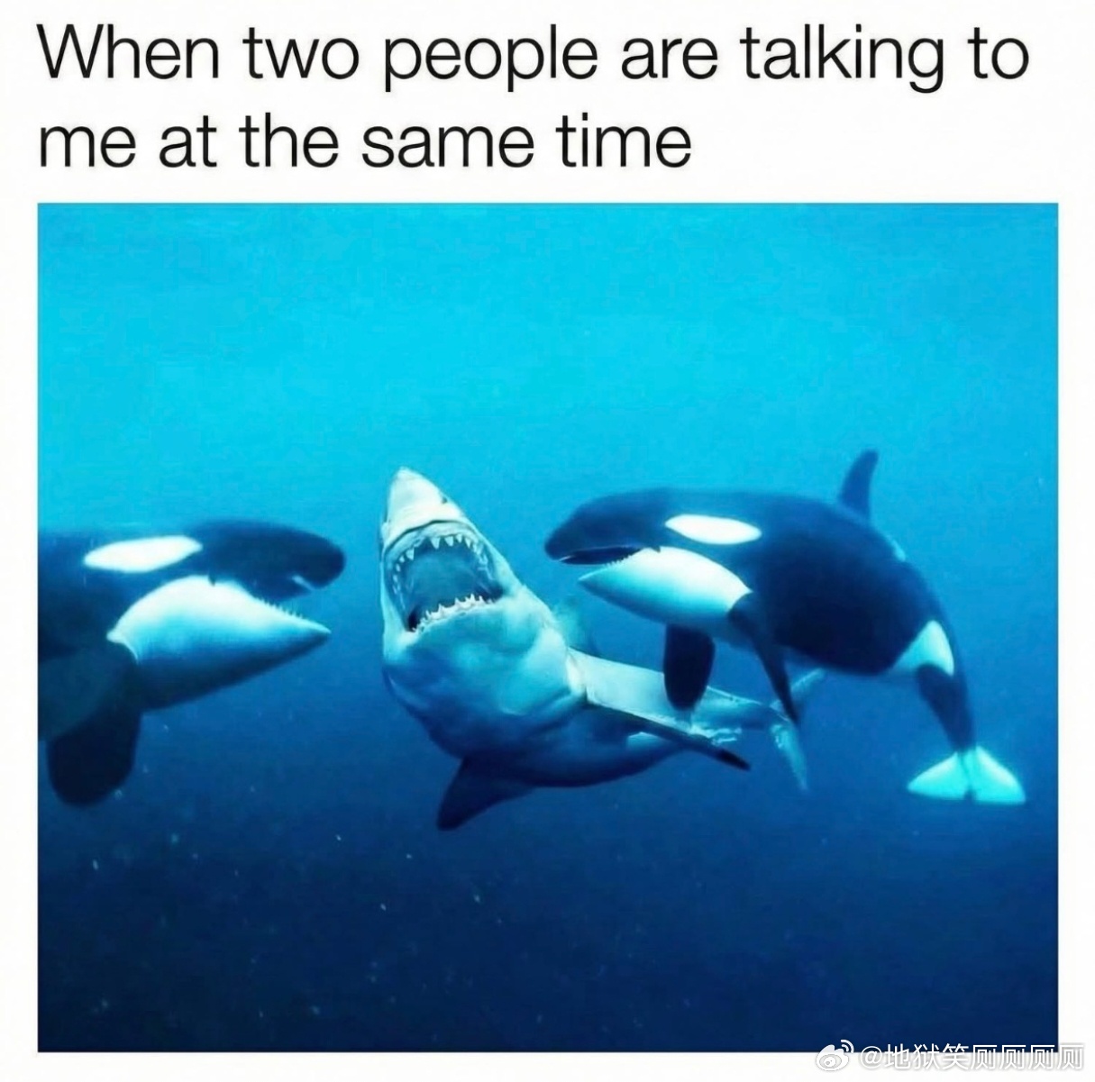 1261当两个人同时和我说话时 