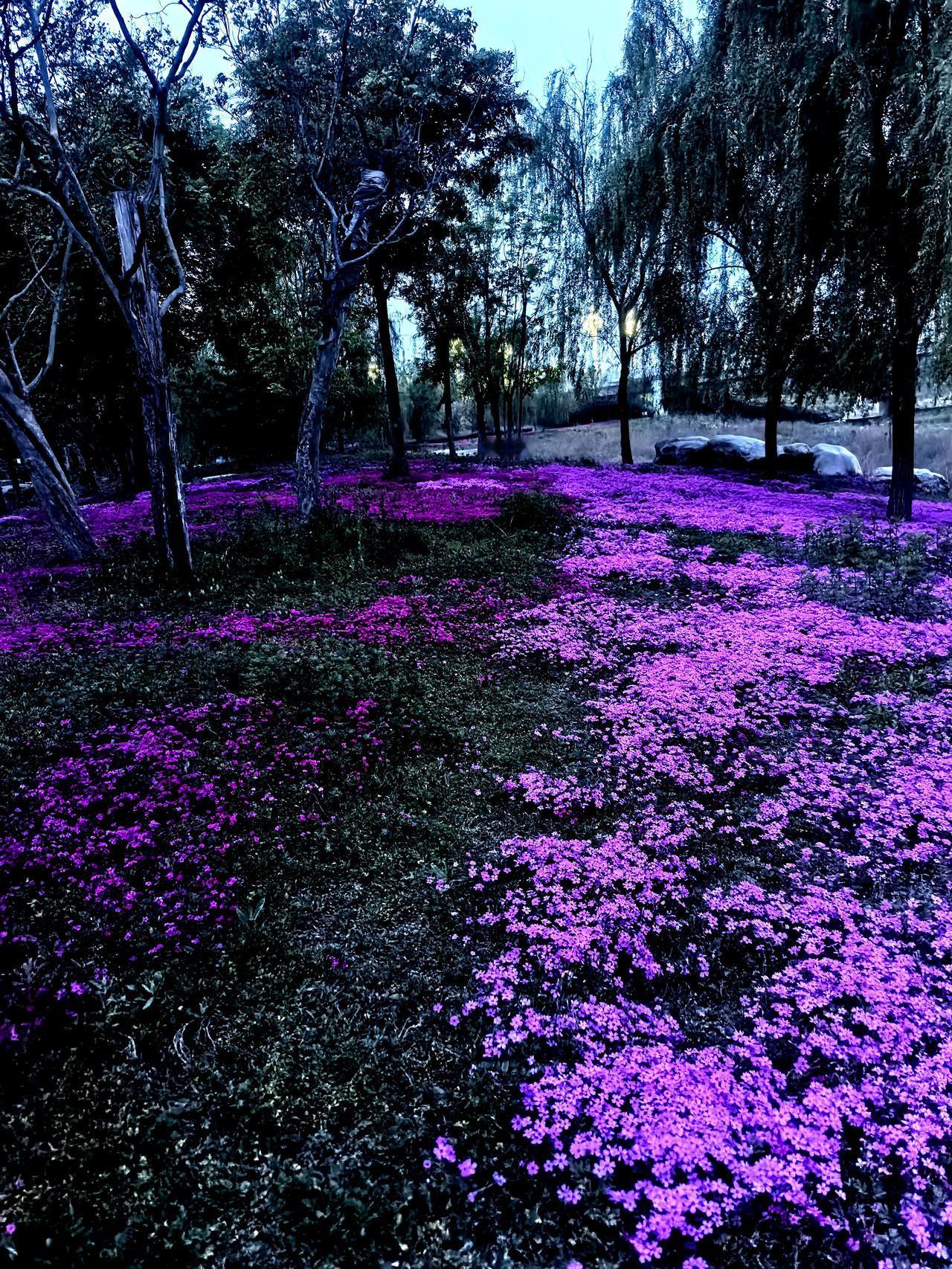 宝鸡太公湖随拍