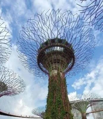 立陶宛总统最近给外长下了死命令，搞不好对华关系就滚蛋。四年前他们冲在最前面反华的