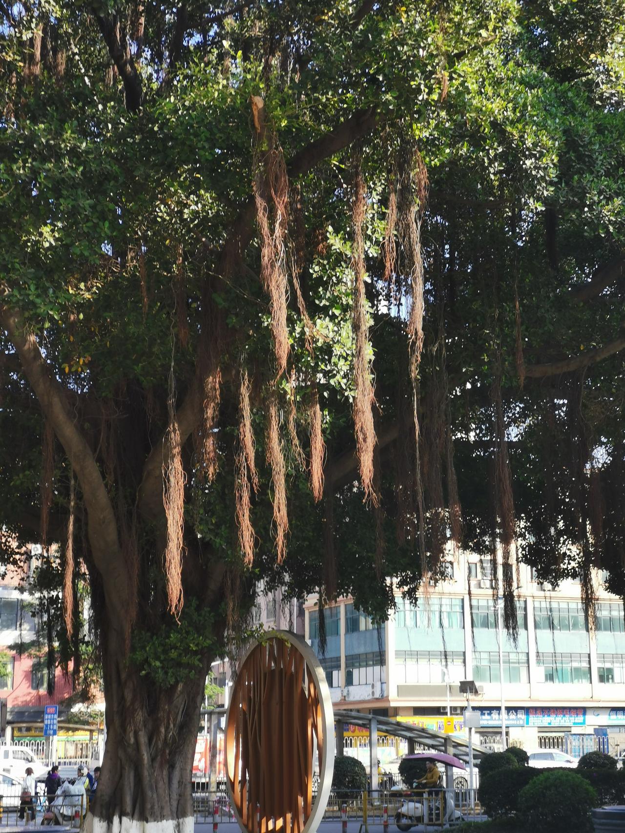 冬日生活打卡季