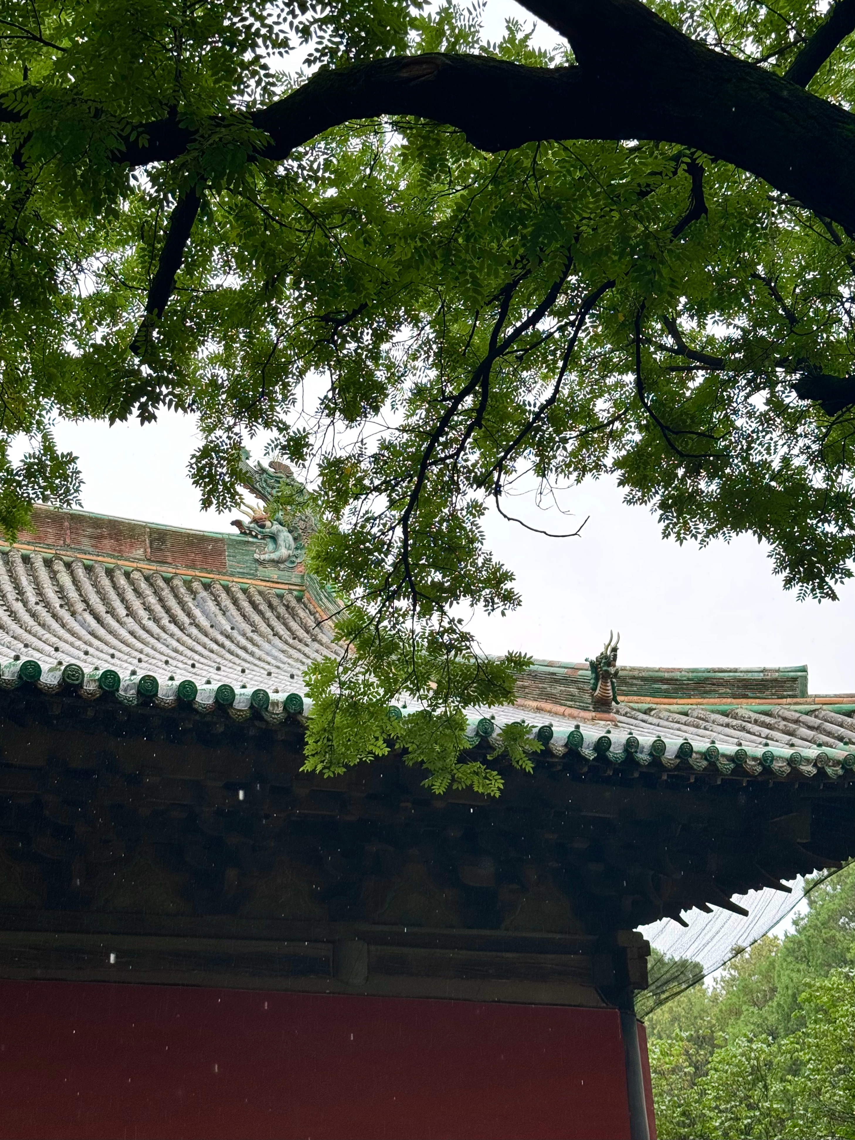 阴雨天，看到了此行最期待的永乐宫和广仁王庙。 