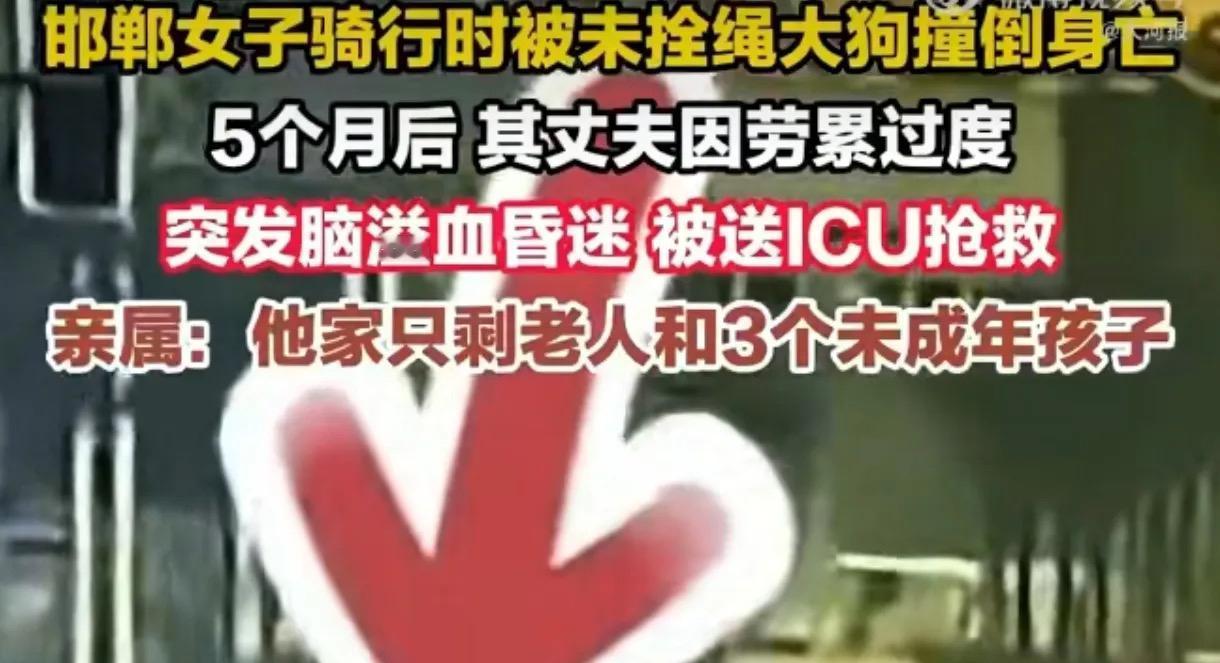 太气人！女子被大狗撞倒身亡，狗主人杀狗毁证耍赖，丈夫维权累到进ICU

麻绳专挑