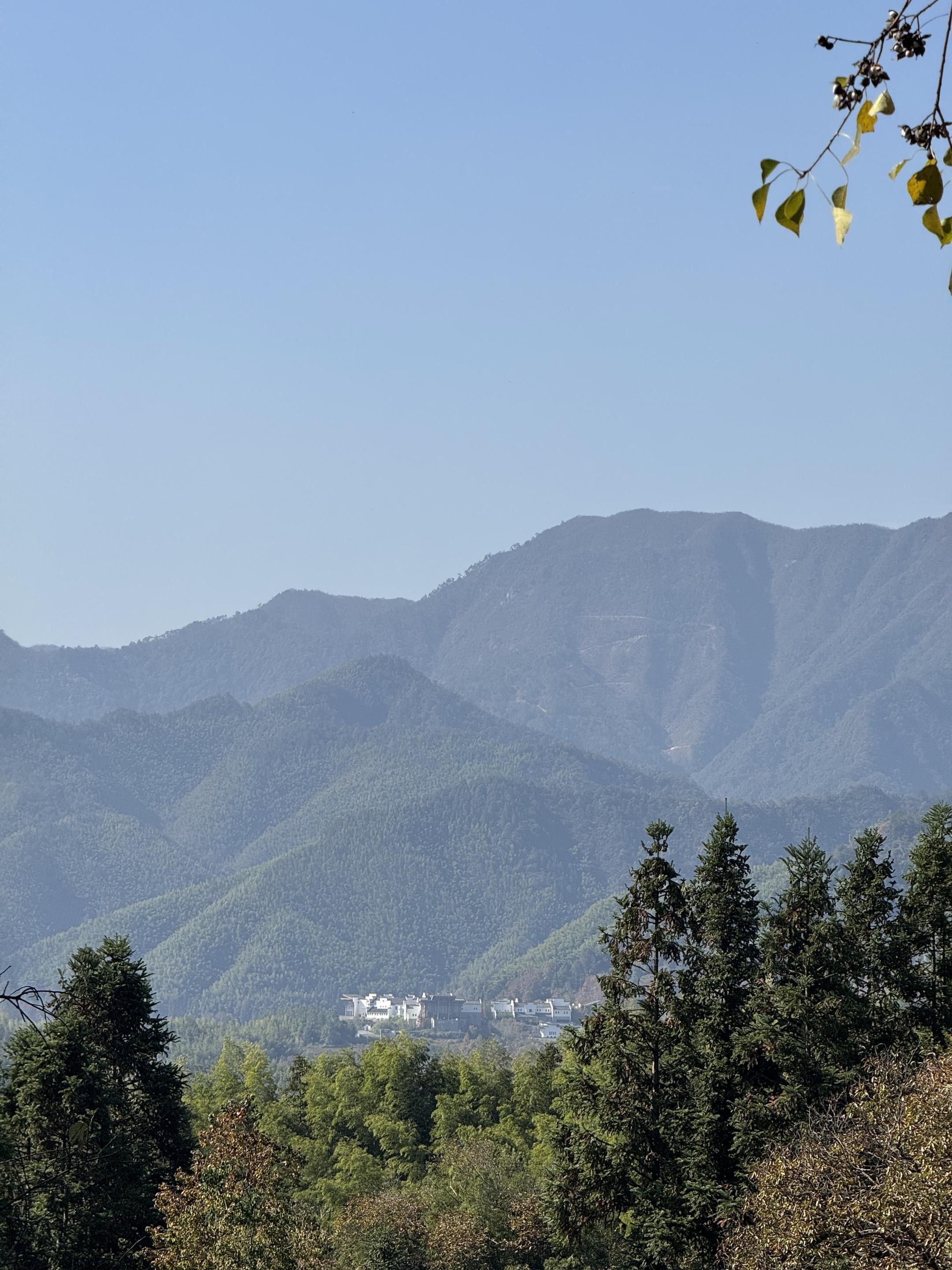 于是我开始爱山爱水，爱一切不会背叛和突然消失的东西 😎