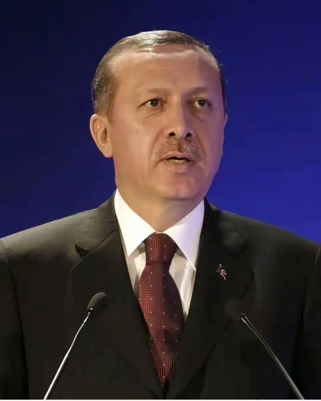 无论是真是假？无论出于何种考量？土耳其这一行动，还是赢得人们普遍称赞的。当地时间