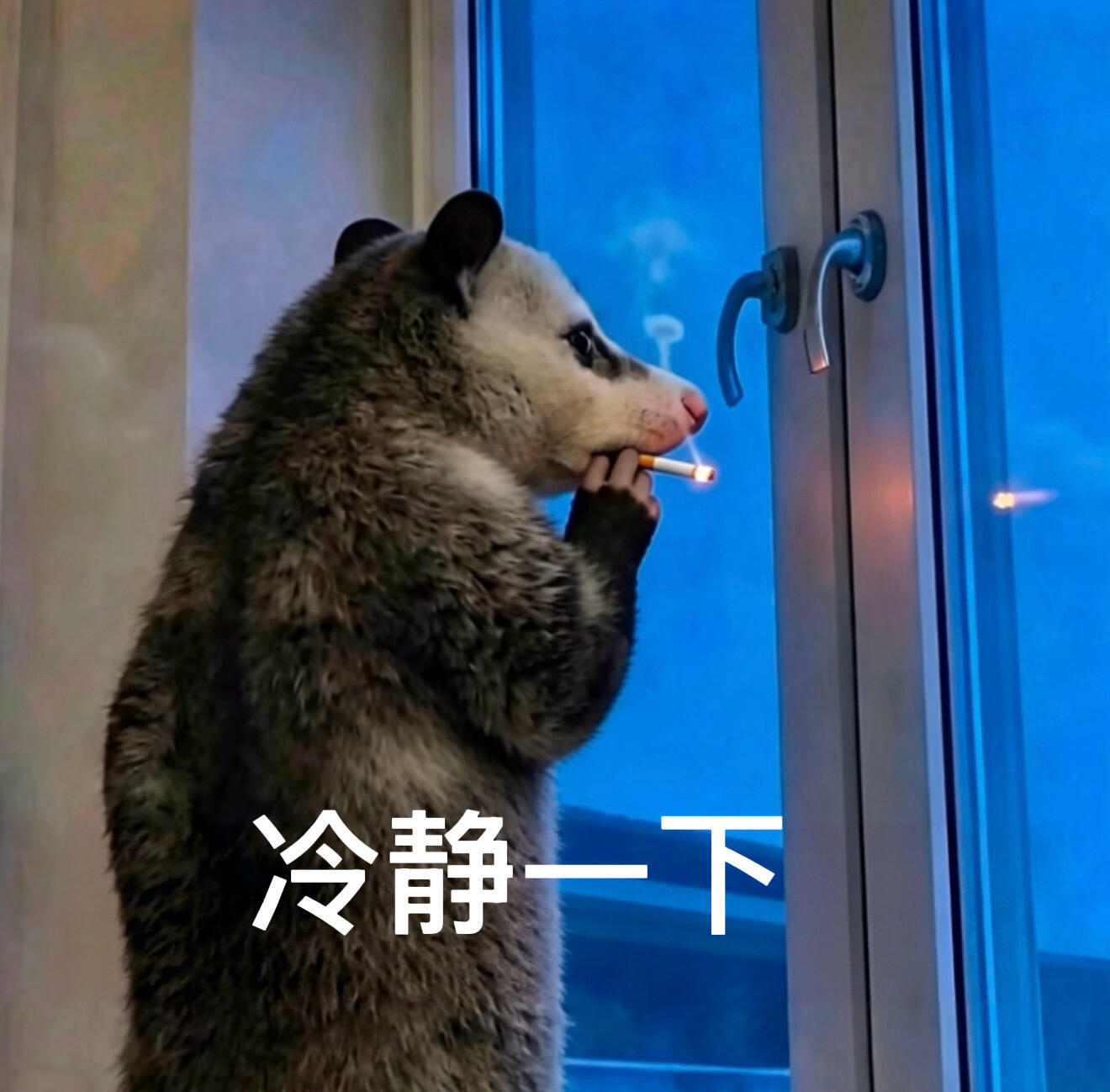 怎么办？我必须发点啥好害怕明天我的推荐比猛掉但是发点啥尼？？？太难了 