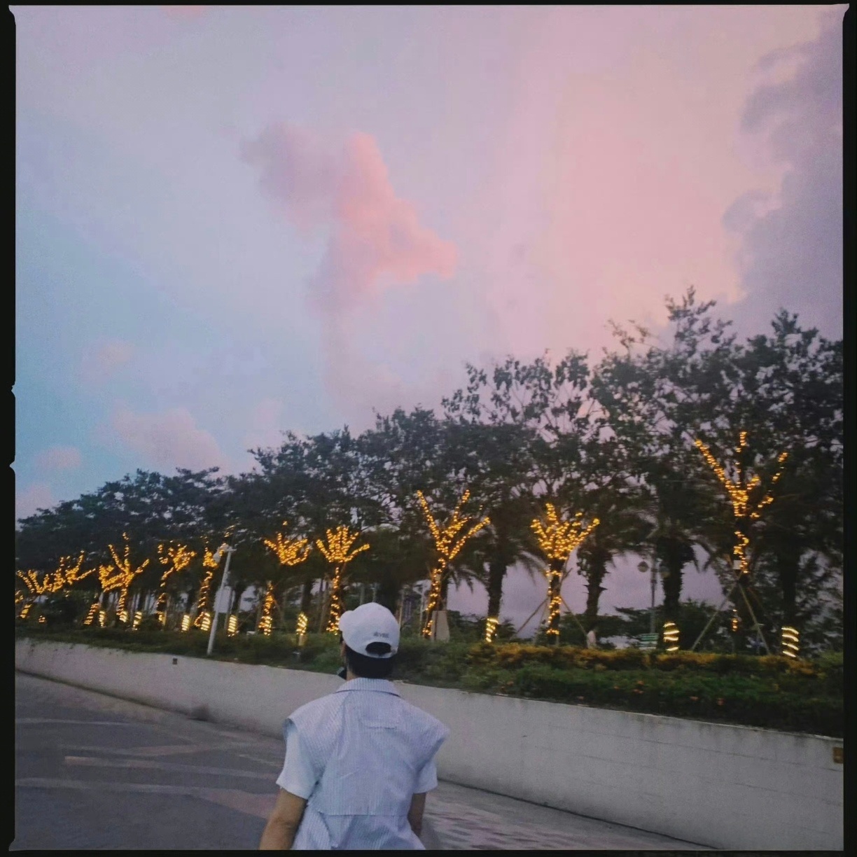 杨洋 宝，上次你来峨眉看枯叶蝶了吗？给杨洋的七夕星河情书杨洋头像越趴越近了夏日H