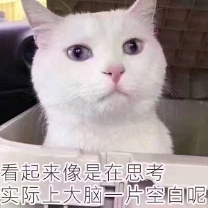 在开车或者骑车的时候，你们有没有过，就是那种一愣神的功夫已经到目的地的经历？这一