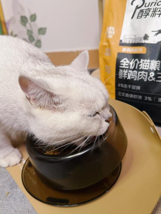 猫粮好吃给我儿子吃出表情包了