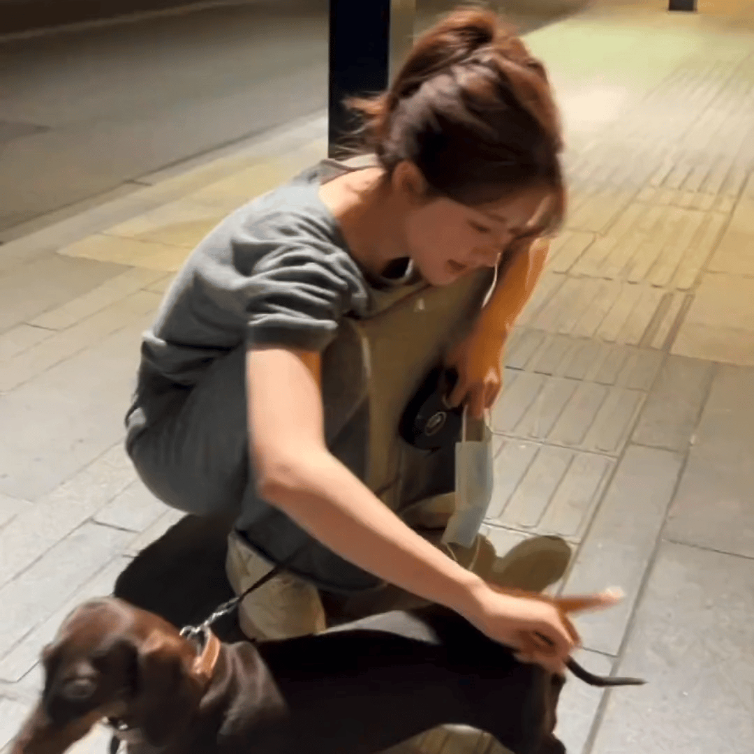 赵露思的狗冲着主持人一直叫赵露思你和doe点点被做局了 ​​​