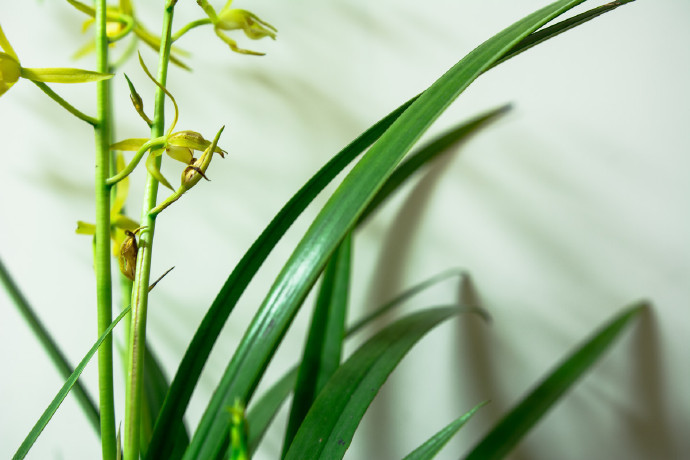 一个人若能把自己遇见的事，相交的人，看过的书，自己的人生，都视为是认识自己，帮助
