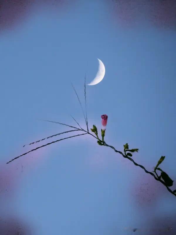 看到“月圆花好两知心”这个上联，我一下子就想到之前看到的结婚对联。在众多结婚对联