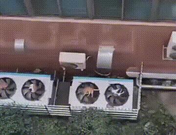 这显卡能挖多少比特币啊