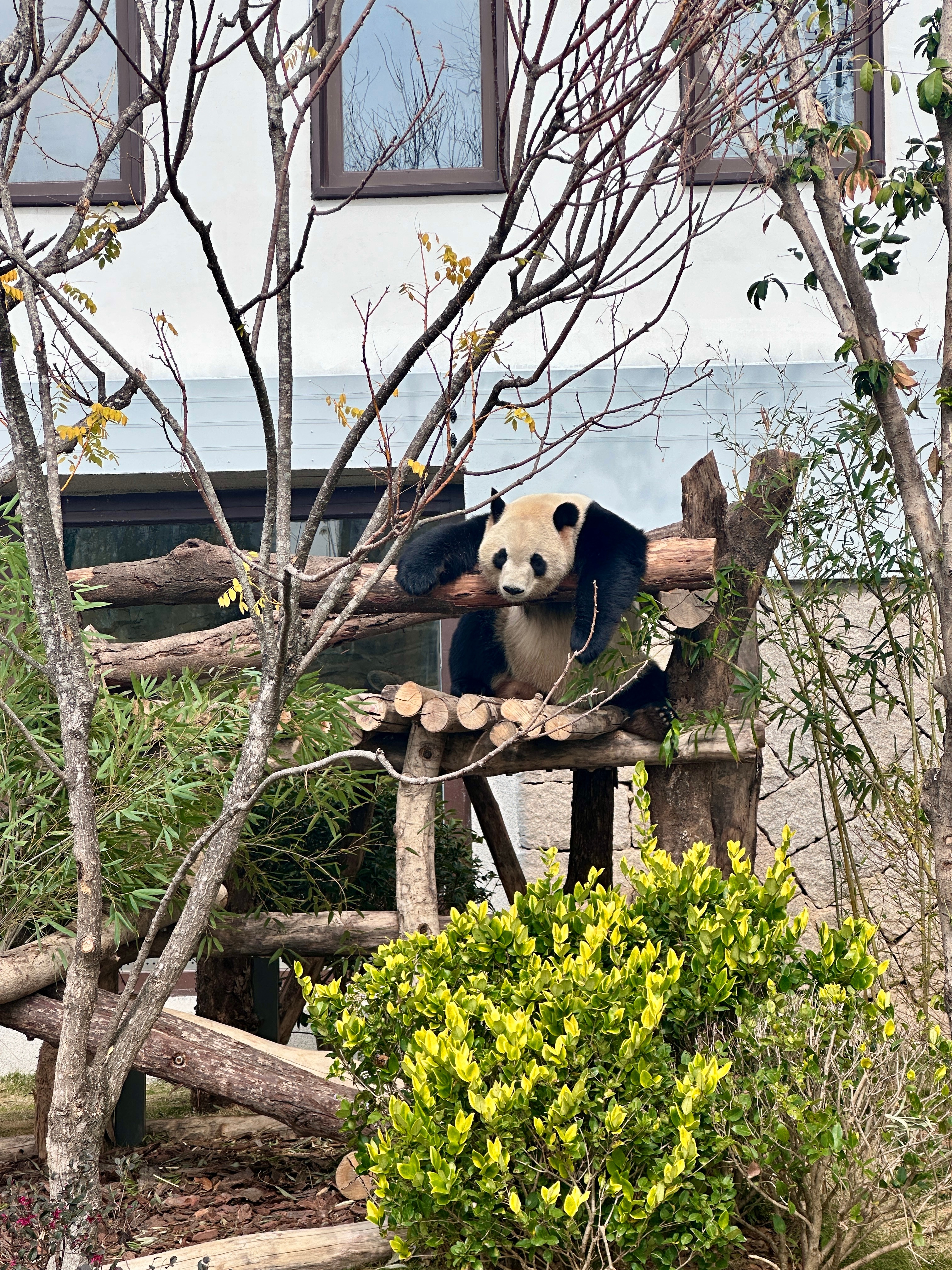 宝宝你萌地球不能只有人类