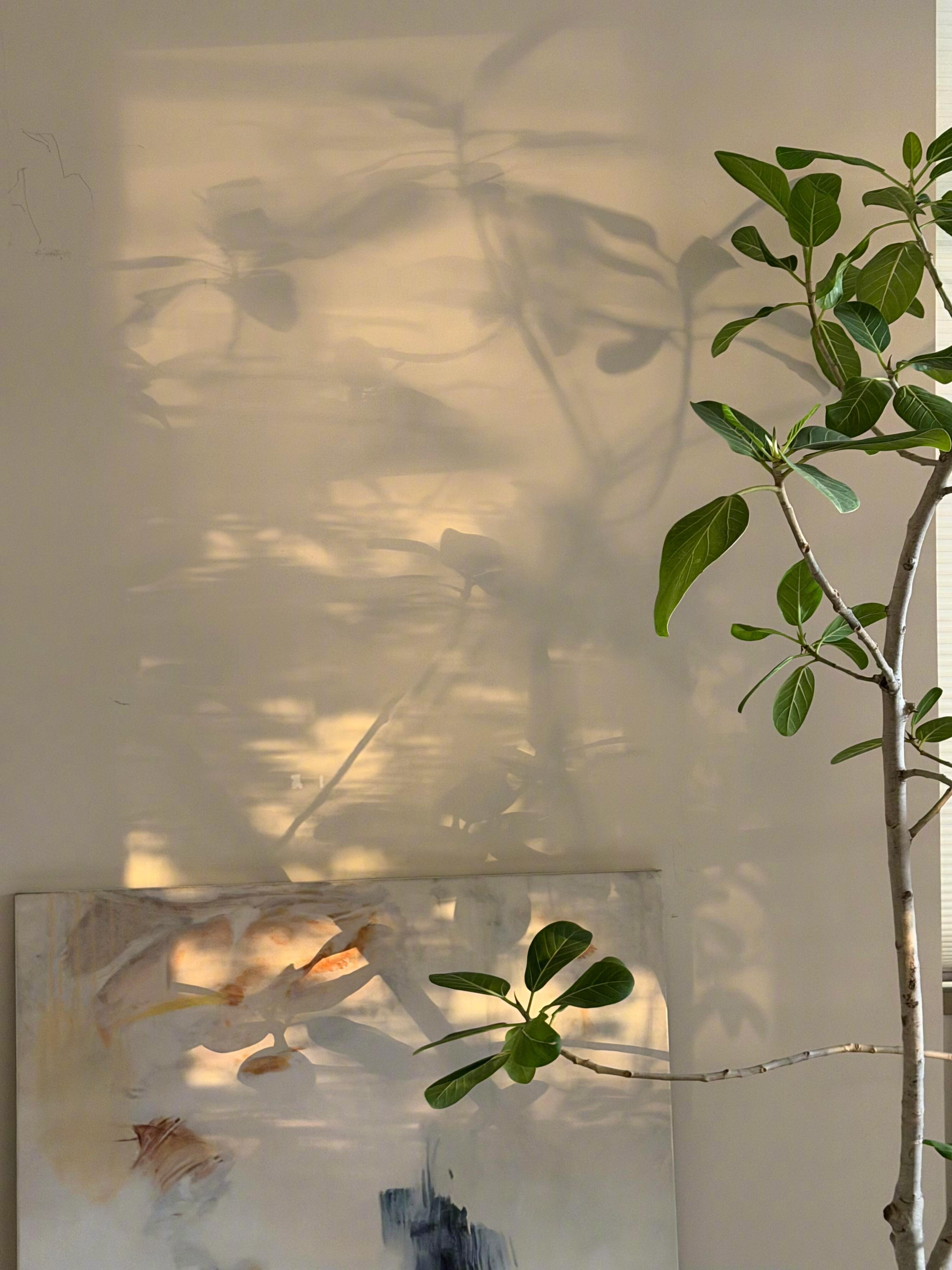 日子没什么波澜却总在细微处藏着温柔✨ 