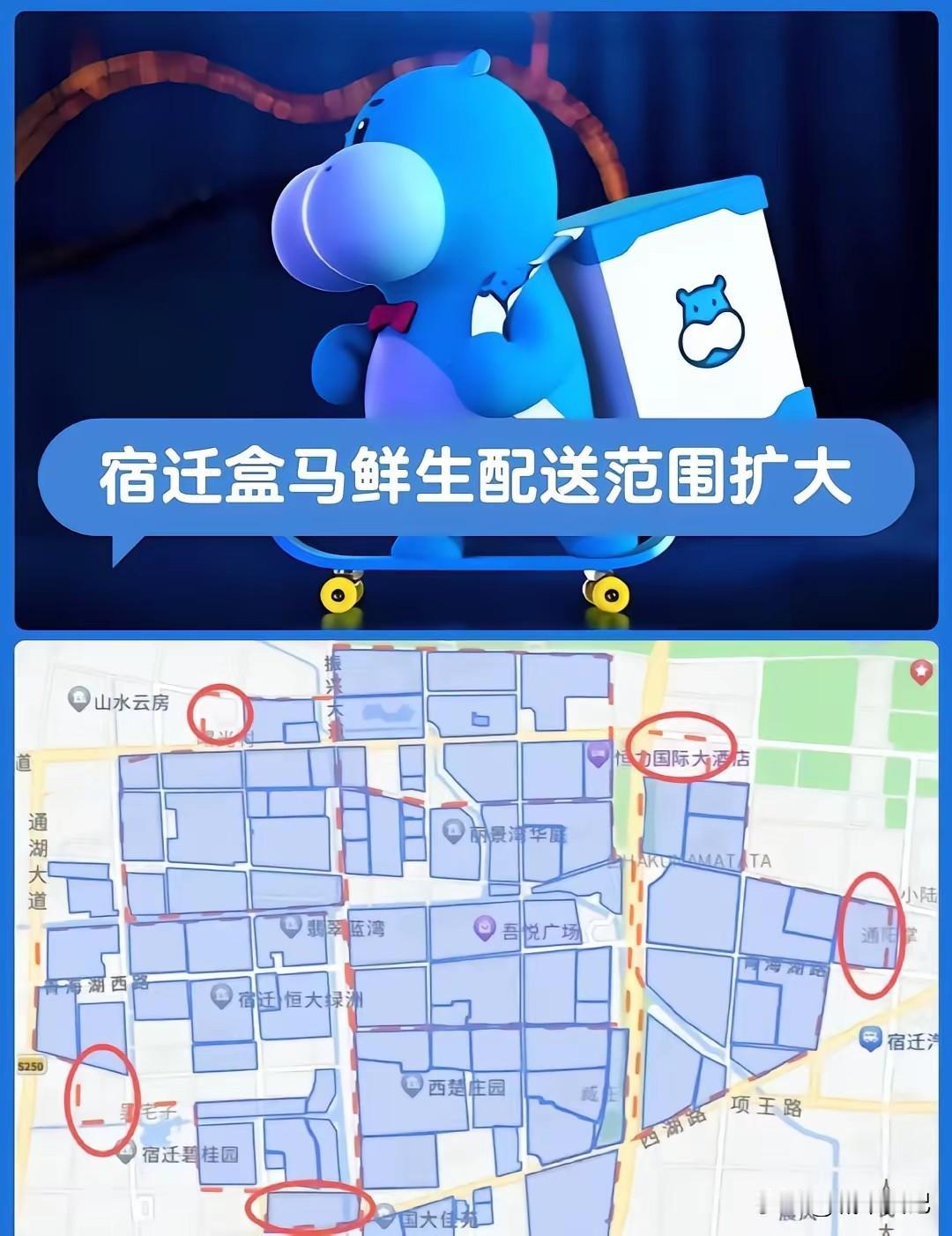 盒马鲜生宿迁第一家店，商品可不便宜，一只虾79元，我估计能开1年半就不错了，进去