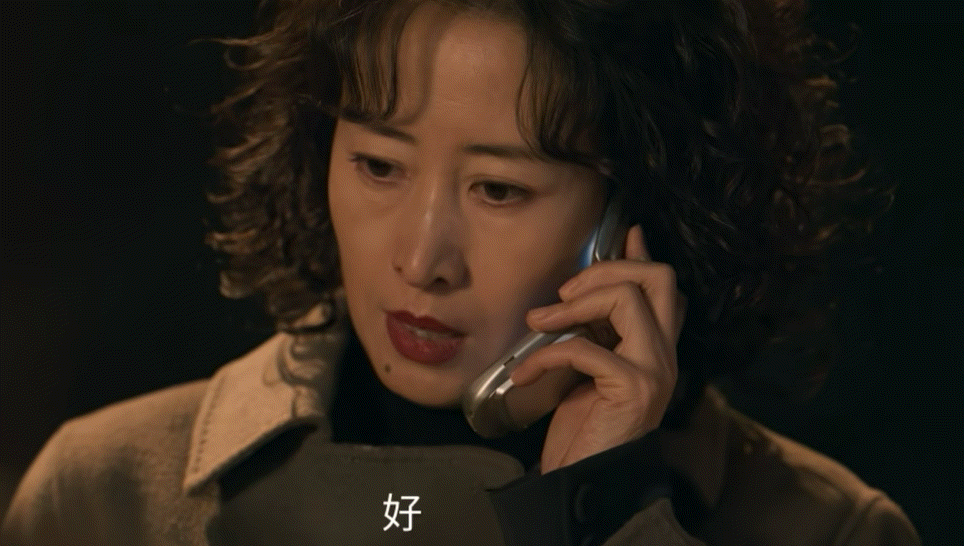 刘敏涛上一个这么恨的还是容嬷嬷 刘敏涛演葛文君，把“恨”演出了层次感。女儿跟别人