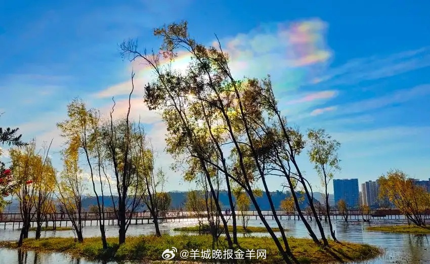 #早安#别把昨天的阴影带到今天，每一次睁眼，都是崭新开始。愿你健康满怀，笑容灿烂