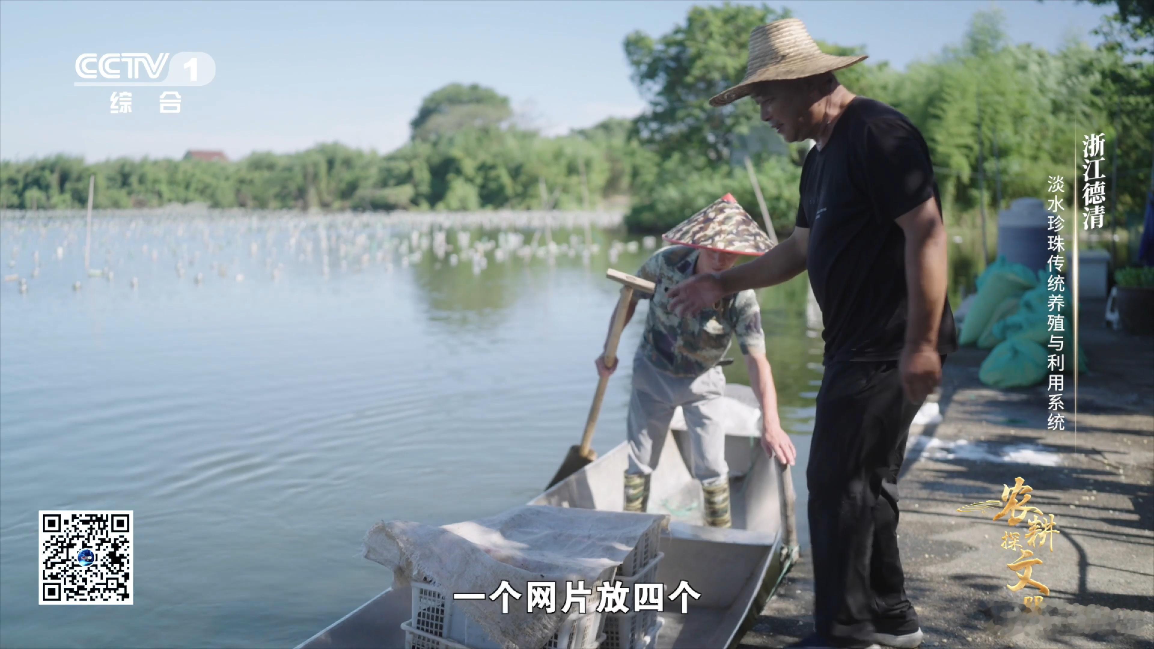珍珠蚌也会拉肚子  河蚌加餐喝豆浆长出的珍珠会更好看  哇哦！珍珠蚌的世界原来如