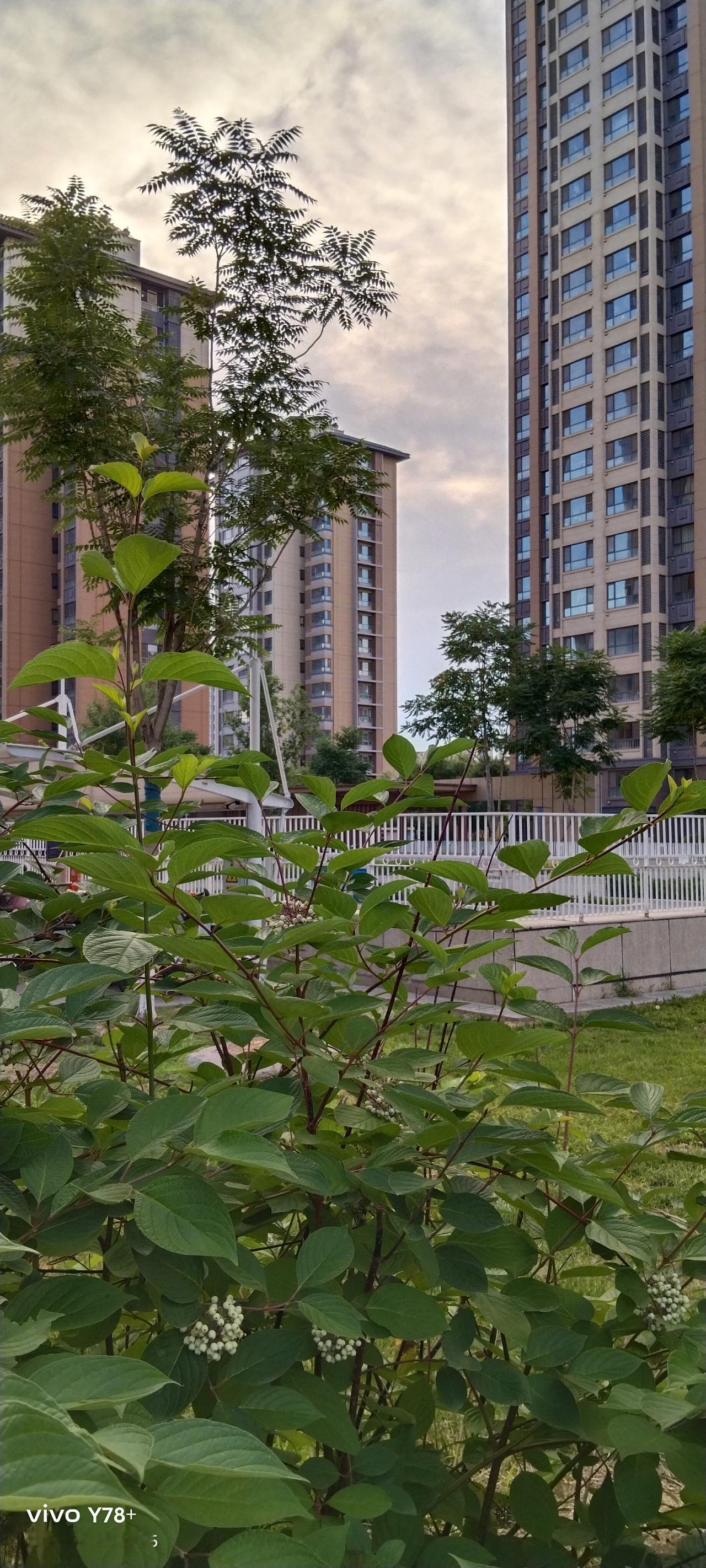 现在网上仍然有替农民讨要养老金的。
老农民的所谓养老金，其实是养老补贴，不能称之