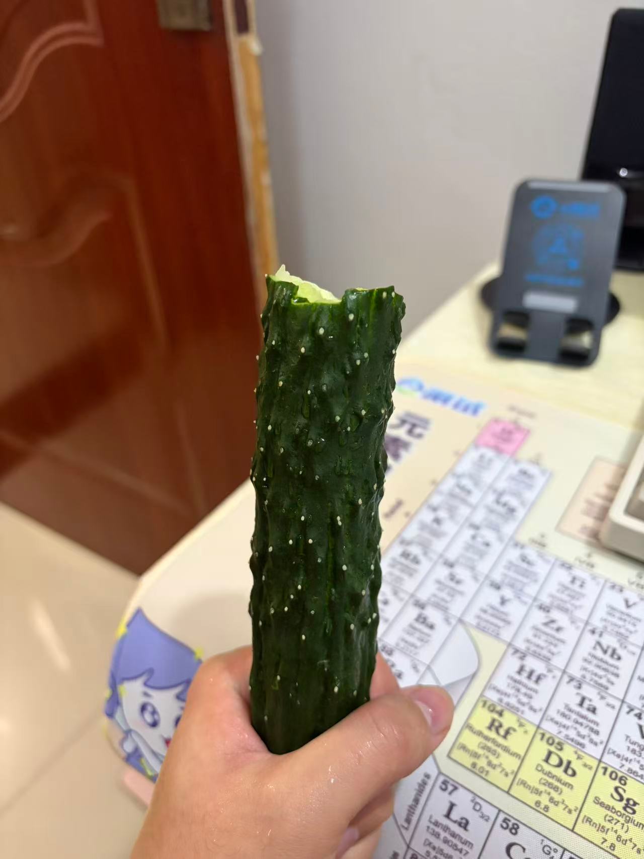 生活手记晚饭一根黄瓜。 