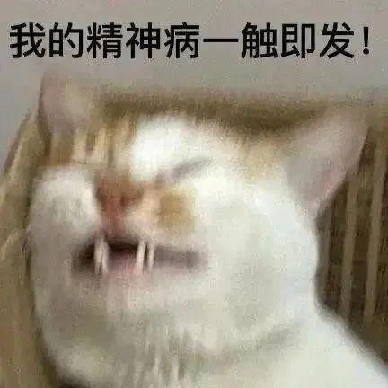 萌趣表情聊天新潮流 更新不易，拿图点赞[心]更多表情包请看主页[心] ​​​