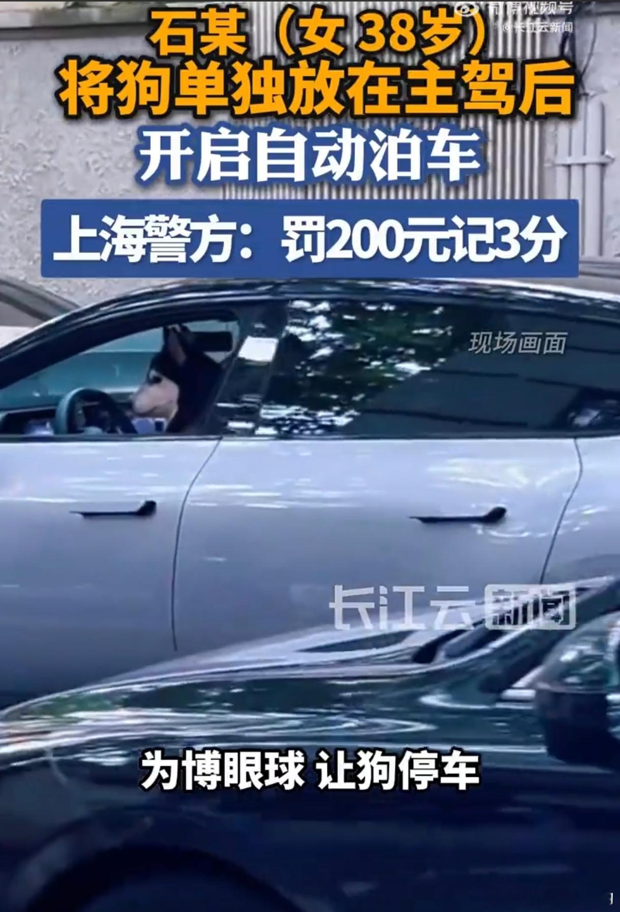 女子为吸睛竟把狗放主驾开自动泊车这里有一个需要探讨的问题离车泊入合法合规为什么放